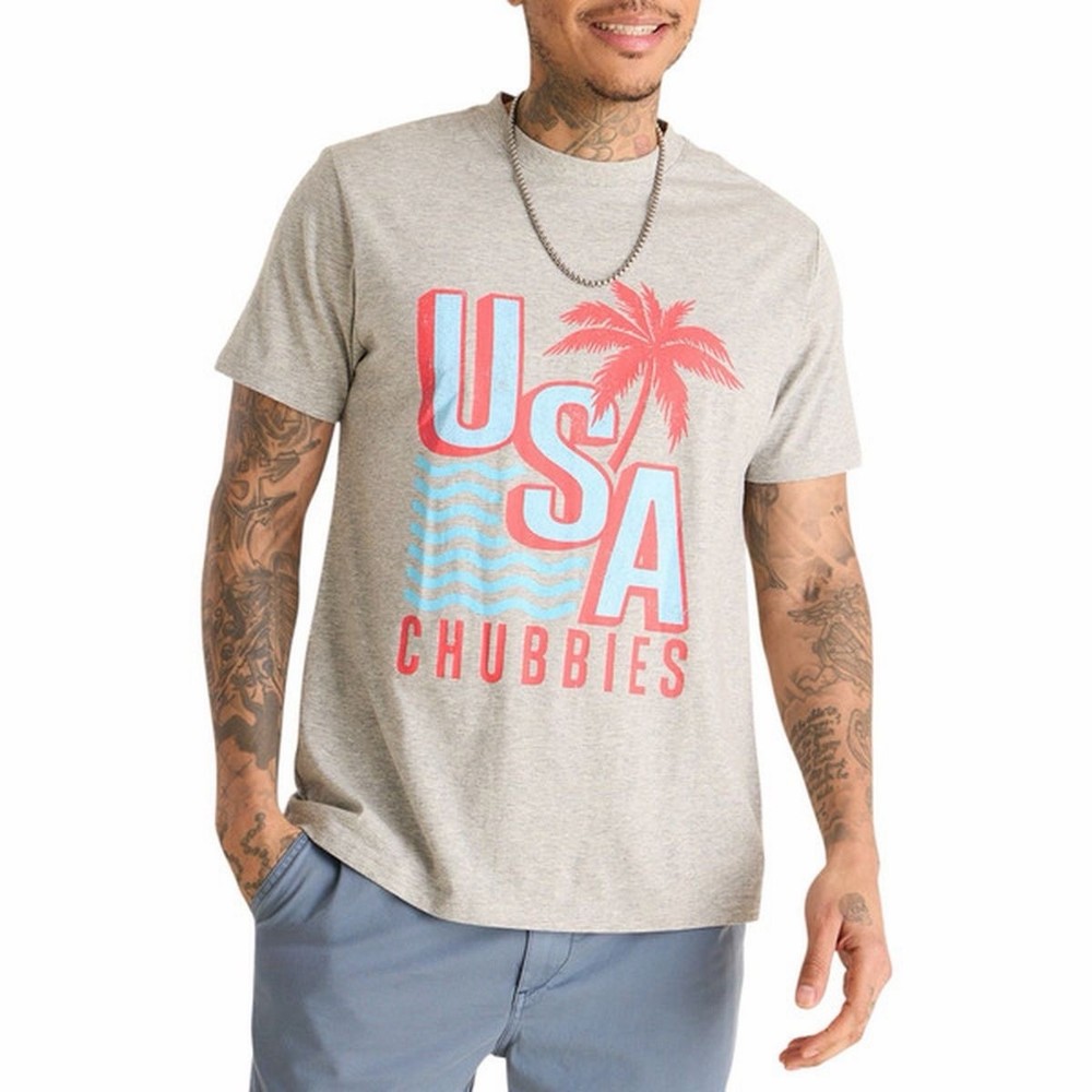 Chubbies The Chub-Spangled Banner T-Shirt, Gray, XXL