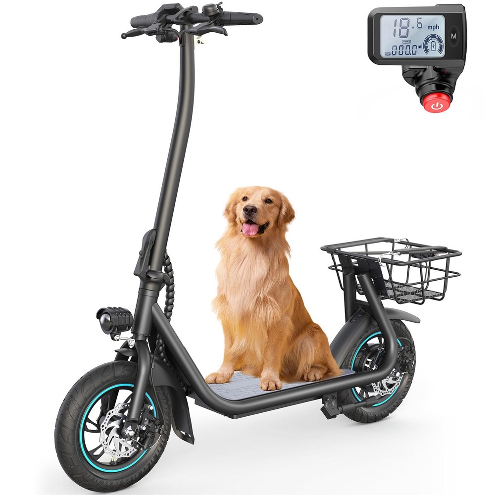 URBANMAX X2 12