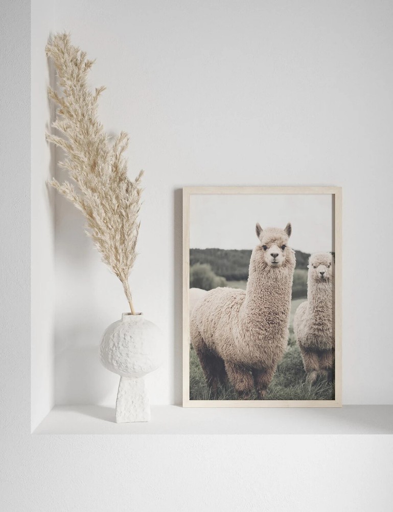 Farmhouse Llama Alpaca Wall Art Poster Premium Quality Choose your Size