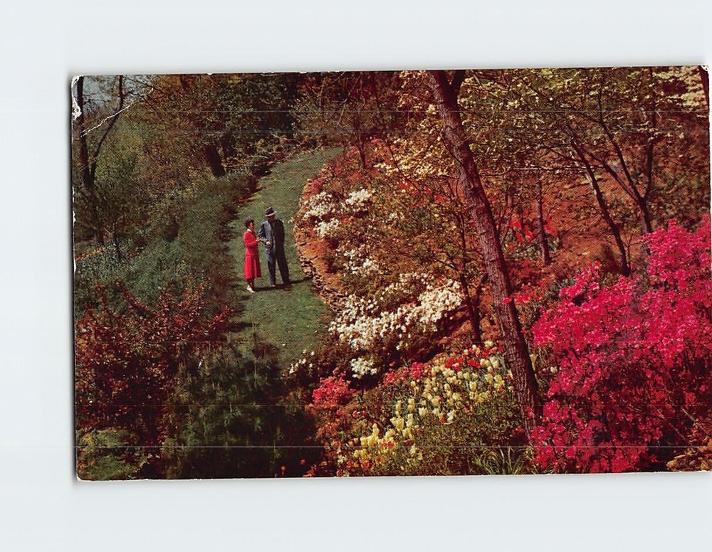 Postcard Boxwood Gardens Afton Virginia USA