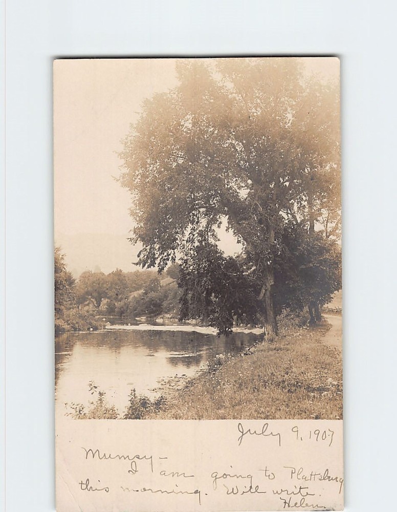 Postcard Lake Trees Nature Landscape Scenery