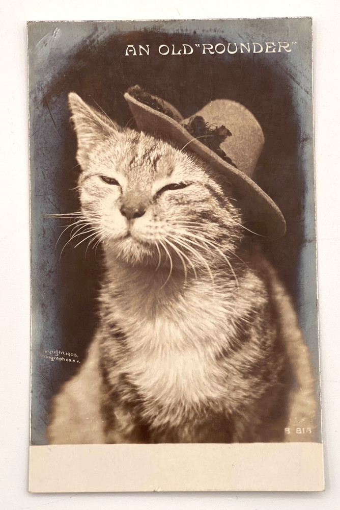 1907 Rotograph Real Photo Postcard Cat in Hat 
