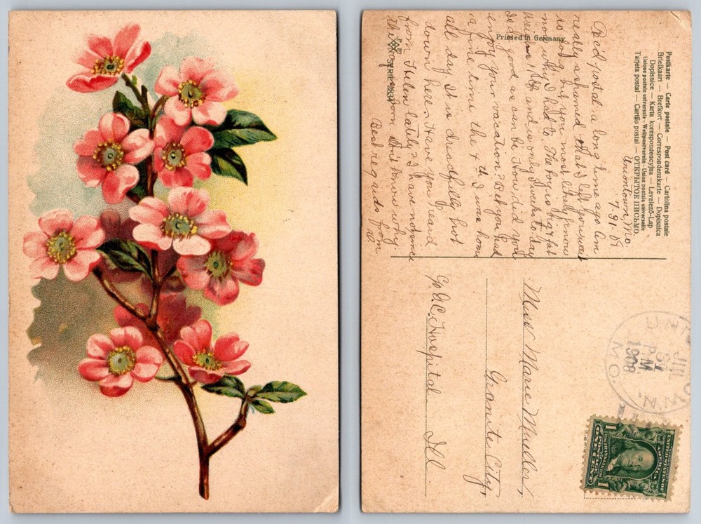 1908 St. Louis MO Pink Blossoms Flower Postcard Granite City IL Posted