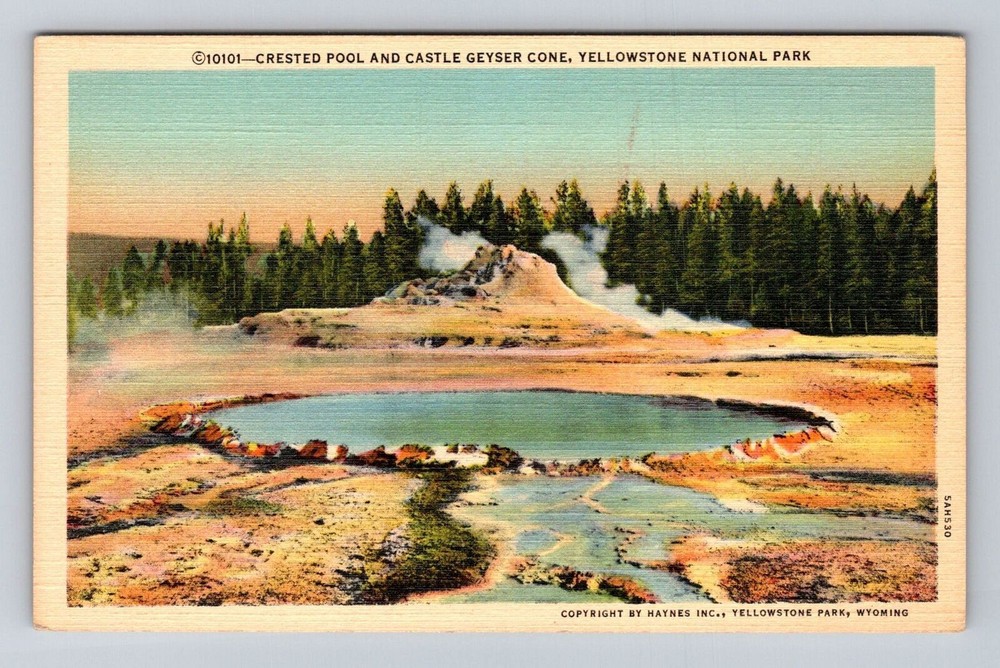 Yellowstone National Park, Castle Geyser Cone, Series #10101 Vintage Postcard