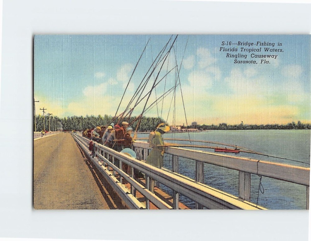 Postcard Bridge Fishing in Florida Tropical Waters Ringling Causeway Florida USA