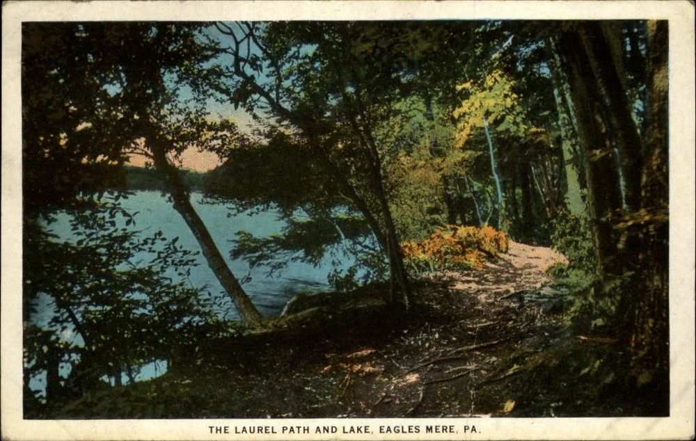 Laurel Path and Lake Eagles Mere Pennsylvania vintage postcard n923