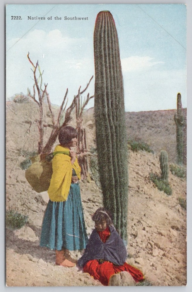 1929 Native American Southwest Desert Saguaro Cactus Vintage Postcard