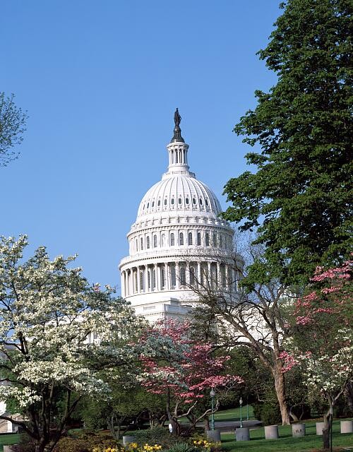 Photo:Washington D.C. U.S. Capitol Dome Spring Bloom 1980s-2000s