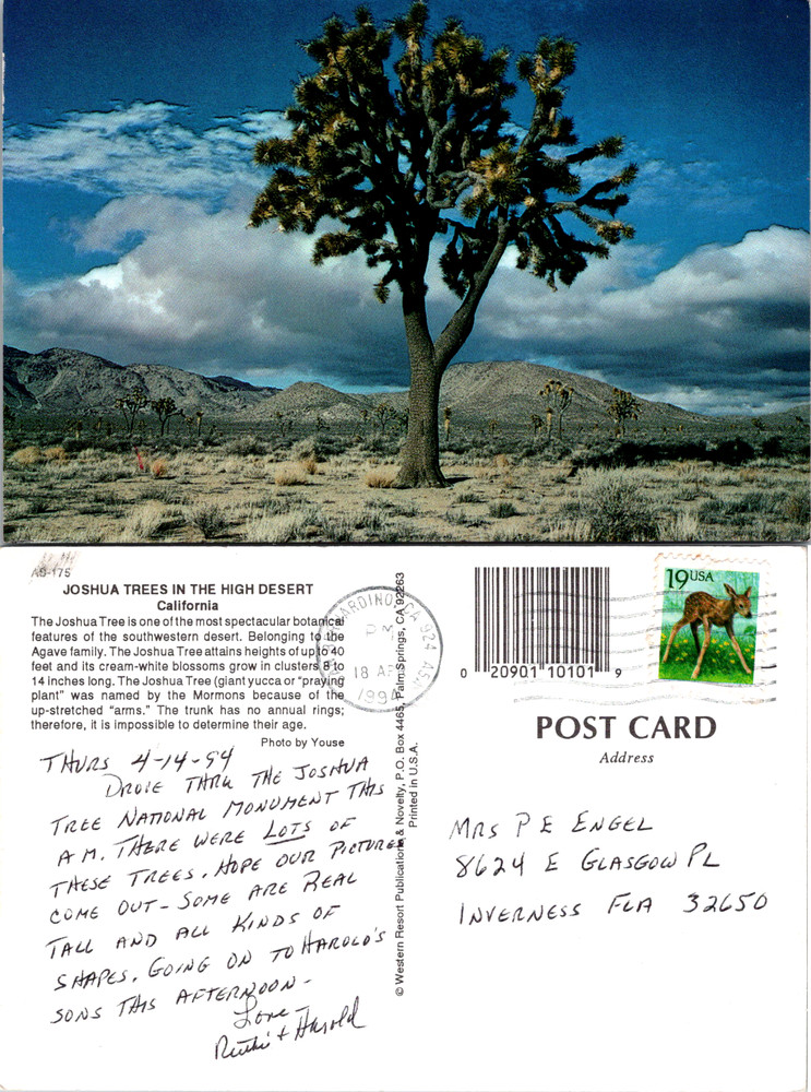 Vintage Postcard