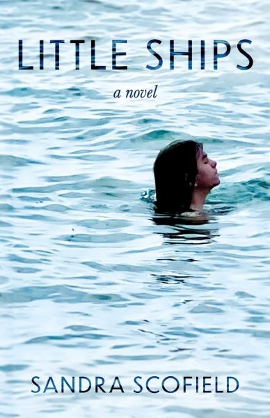Little Ships, Paperback by Scofield, Sandra, Brand New, Free shipping in the US