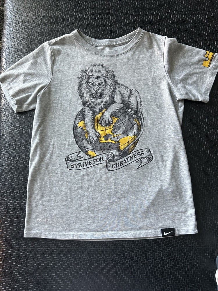 Nike Dri-Fit Boys TShirt Athletic Cut Short Sleeve LeBron James Gray M outgrown