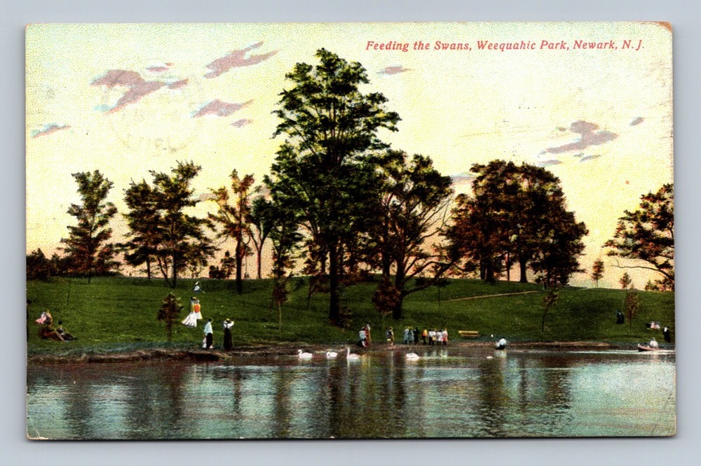 Feeding the Swans, Weequahic Park, Newark, NJ Postcard