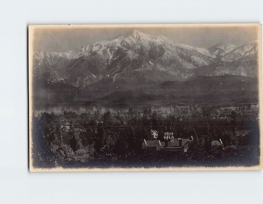 Postcard Trees Mountain Landscape Scenery Vintage Picture