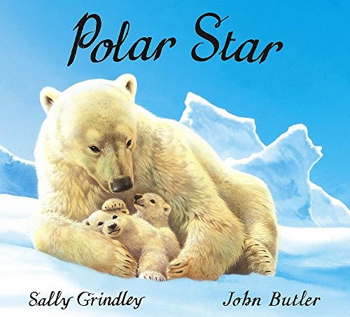 Polar Star by Grindley, Sally Paperback Book The Fast Free ShippingFREE US DELIVERY | ISBN: 1408300885 | Quality Books