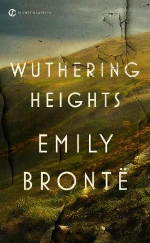 Emily Bronte Wuthering Heights (Paperback)Another great item from Rarewaves USA | Free delivery!