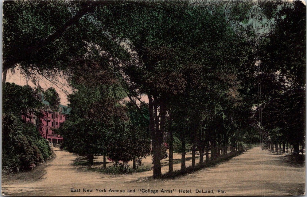 East New York Ave and College Arms Hotel, DeLand FL Vintage Postcard A69