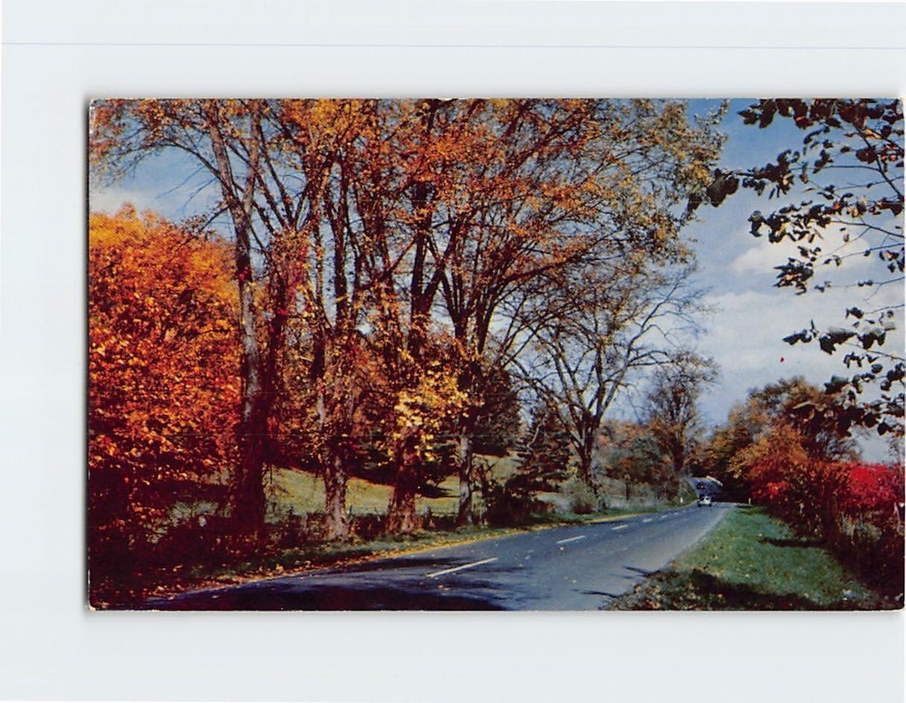 Postcard Countryside Highway Autumn Scene