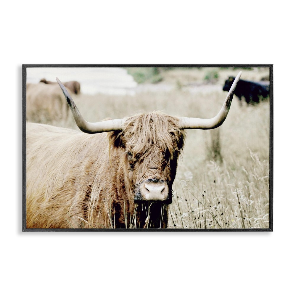 Highland Cattle in Field Framed Giclee Art Design by Sd Graphics Studio