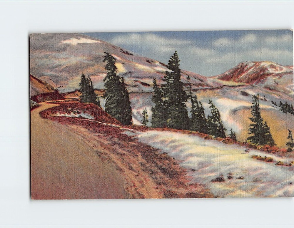 Postcard Timberline In The Rockies Loveland Pass Colorado USA