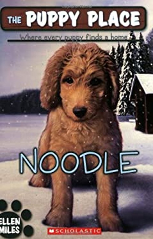 Noodle Paperback Ellen MilesFree US Delivery | ISBN:0545034574