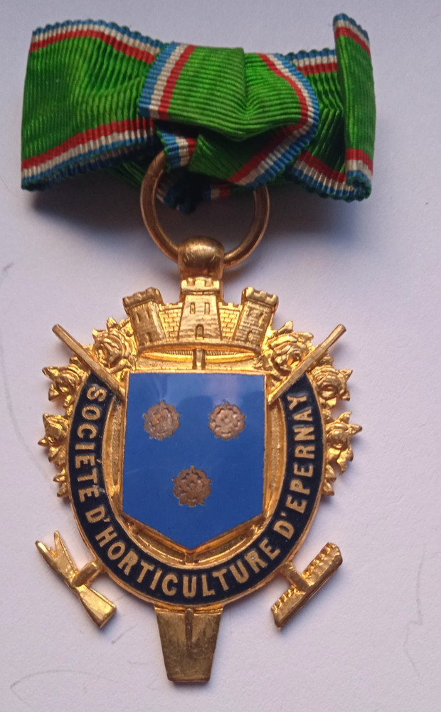 Epernay Horticulture Society French Buttonhole Badge / Brooch / Insigne