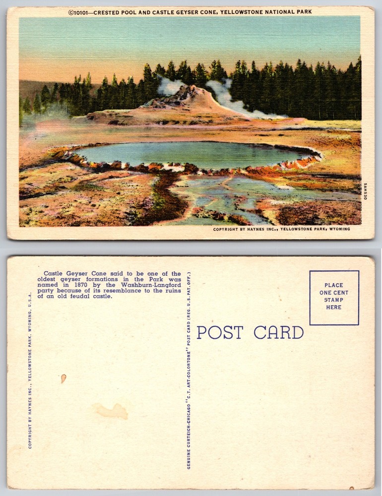 Crested Pool Castle Geyser Cone Yellowstone National Park Postcard