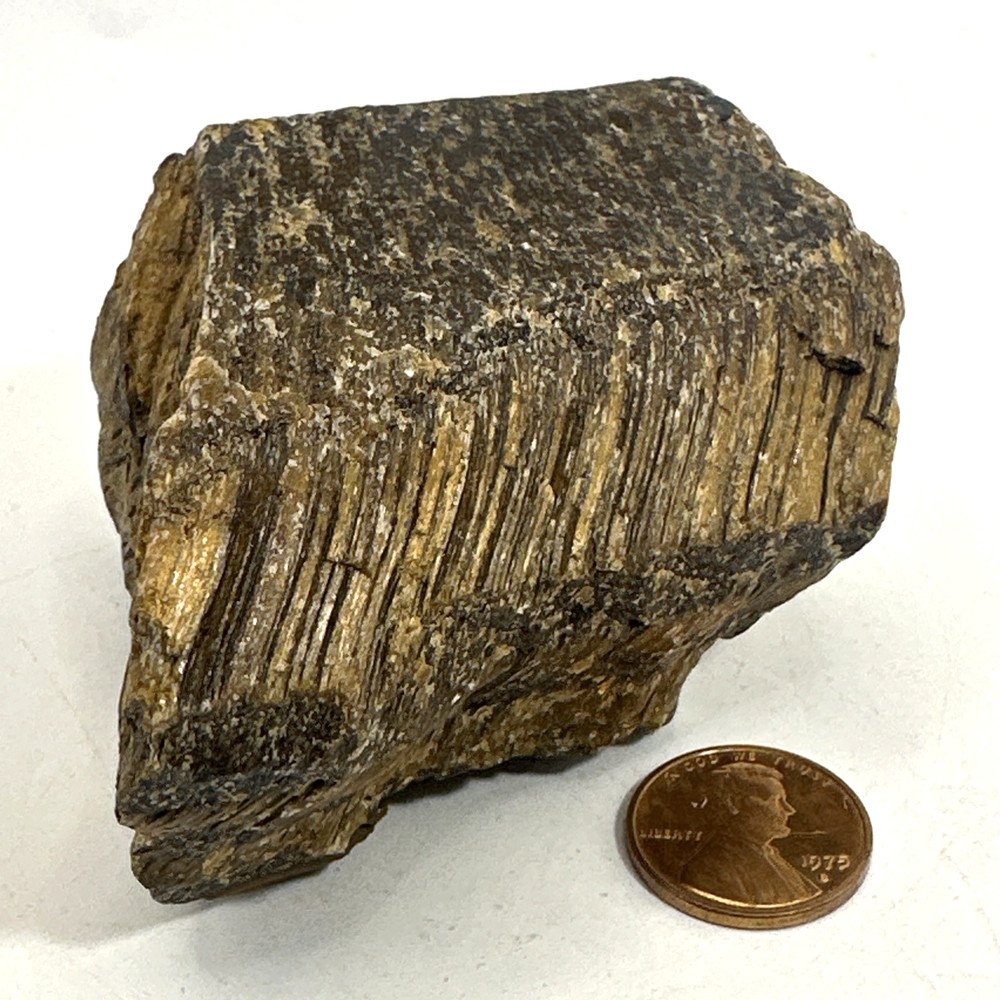 Beautiful Yellow or Golden Tigers Eye Specimen 242 Grams