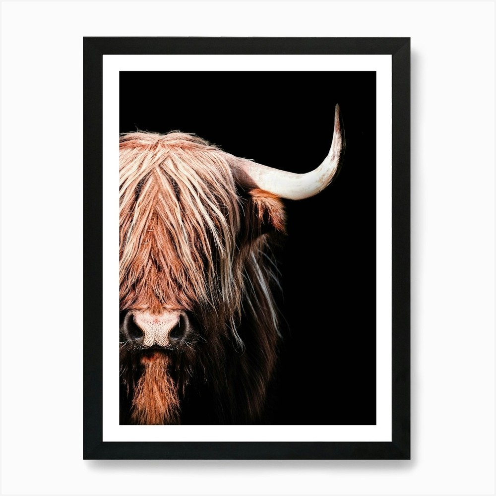 Highland Cow Art Print Framed Wall Art Poster Canvas Print Picture