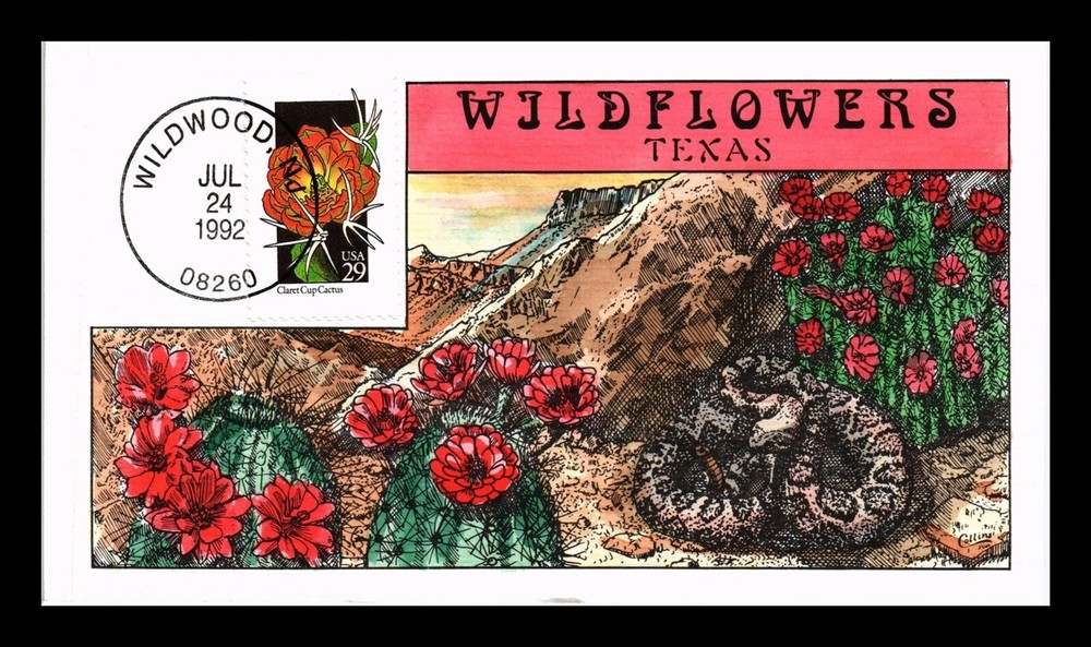 DR Jim Stamps Wildflowers of Texas Hand-Painted US FDC Cover Collins