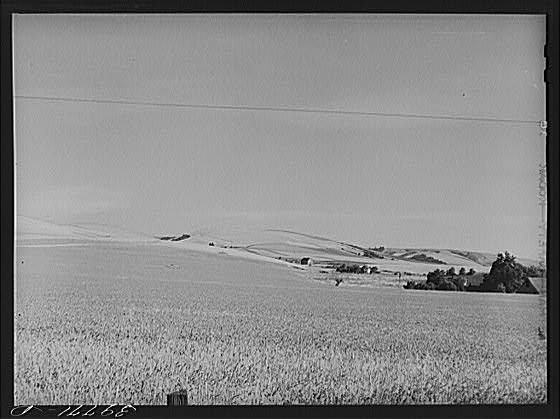 Farmstead,Walla Walla County,Washington,WA,Farm Security Administration,FSA