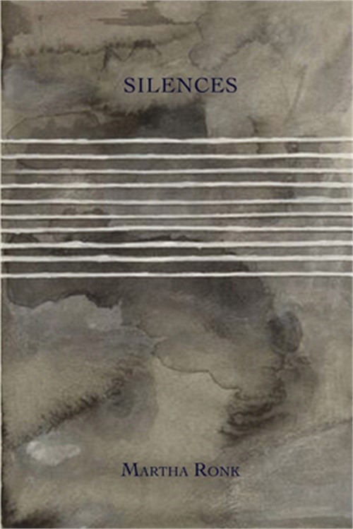 Silences (Paperback or Softback)