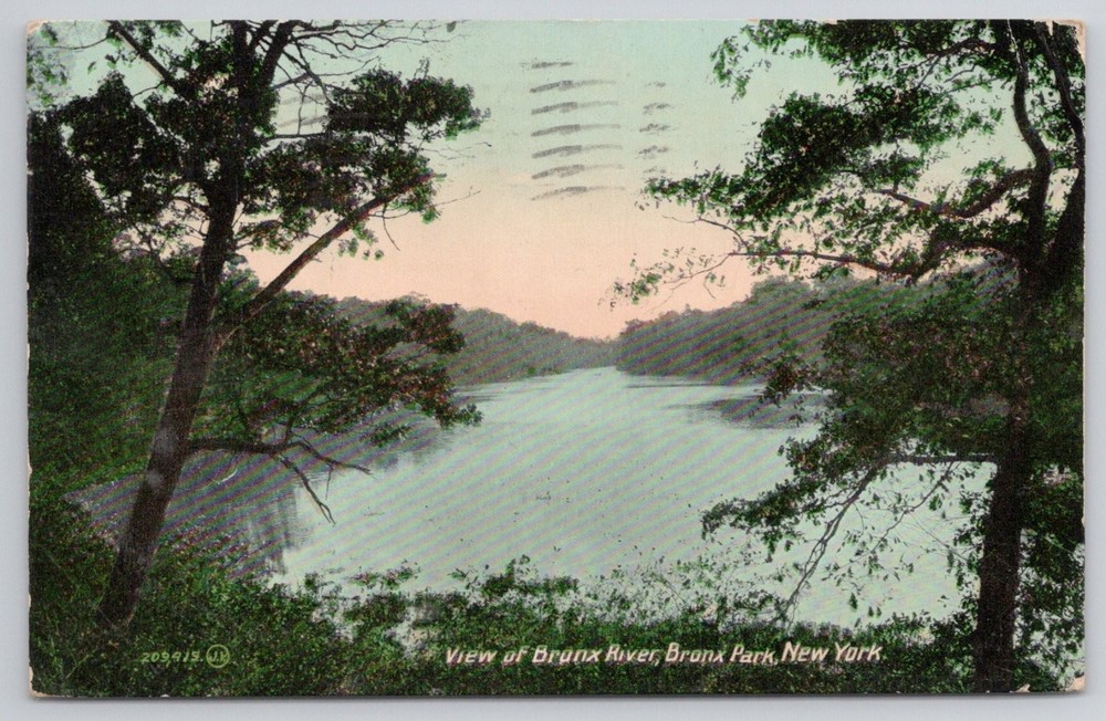 Bronx River, Bronx Park, New York Postcard 1911 Valentine & Sons