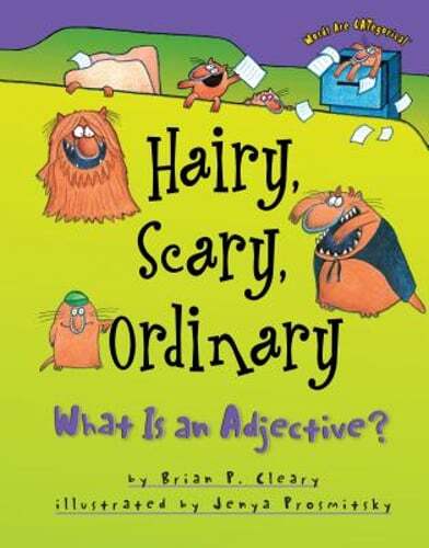 Hairy, Scary, Ordinary: What Is an Adjective? by Brian P Cleary: Used