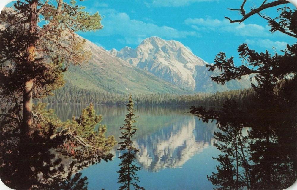 Mt Moran Jenny Lake Grand Teton National Park - Jackson Hole Wyoming WY Postcard