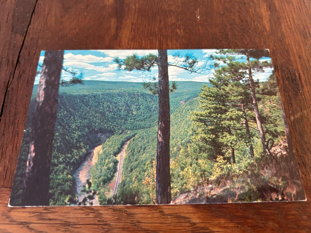 Pennsylvania Grand Canyon North View Leonard Harrison State Park Postcard