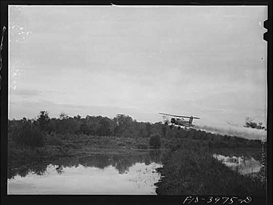 Photo:Alabama Tennessee River 1930s TVA Plane at Dawn