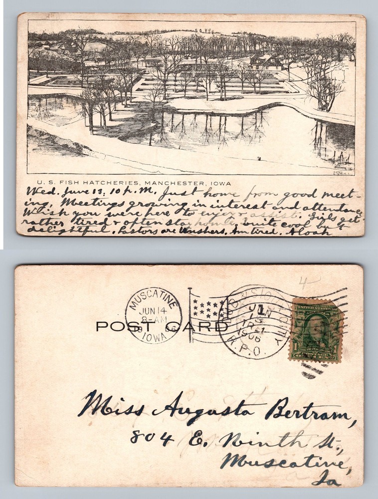 Manchester, IA-Iowa, U.S. Fish Hatcheries Scenic View Vintage c1906 Postcard