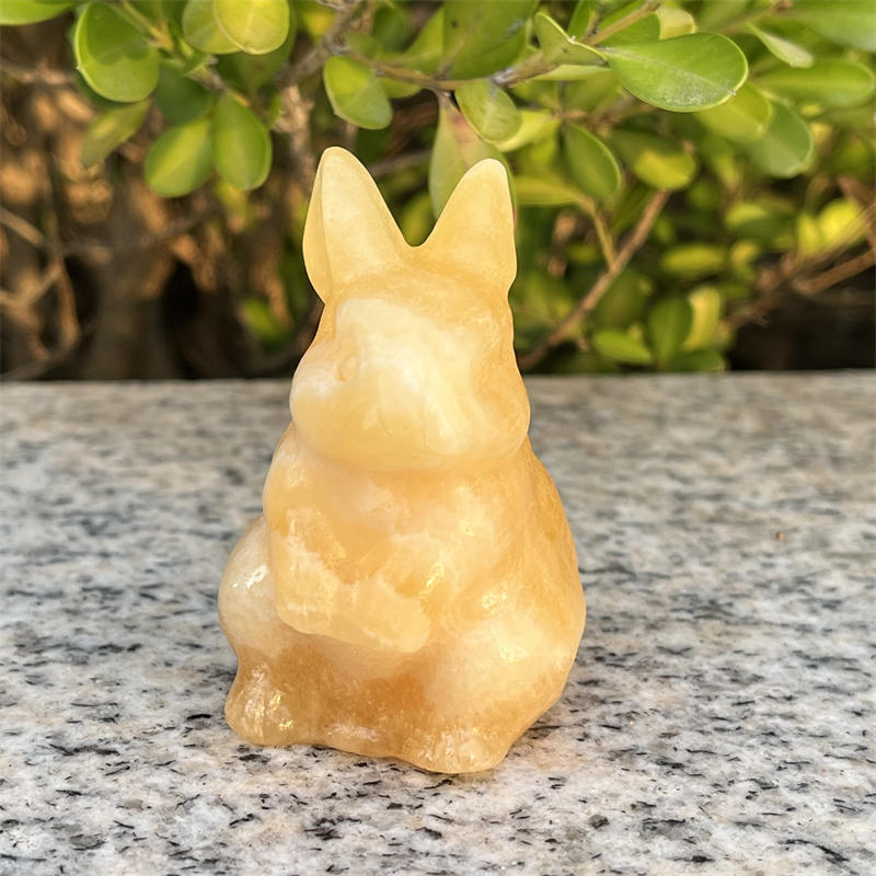 Natural Calcite cat carved Quartz Crystal skull Reiki Healing