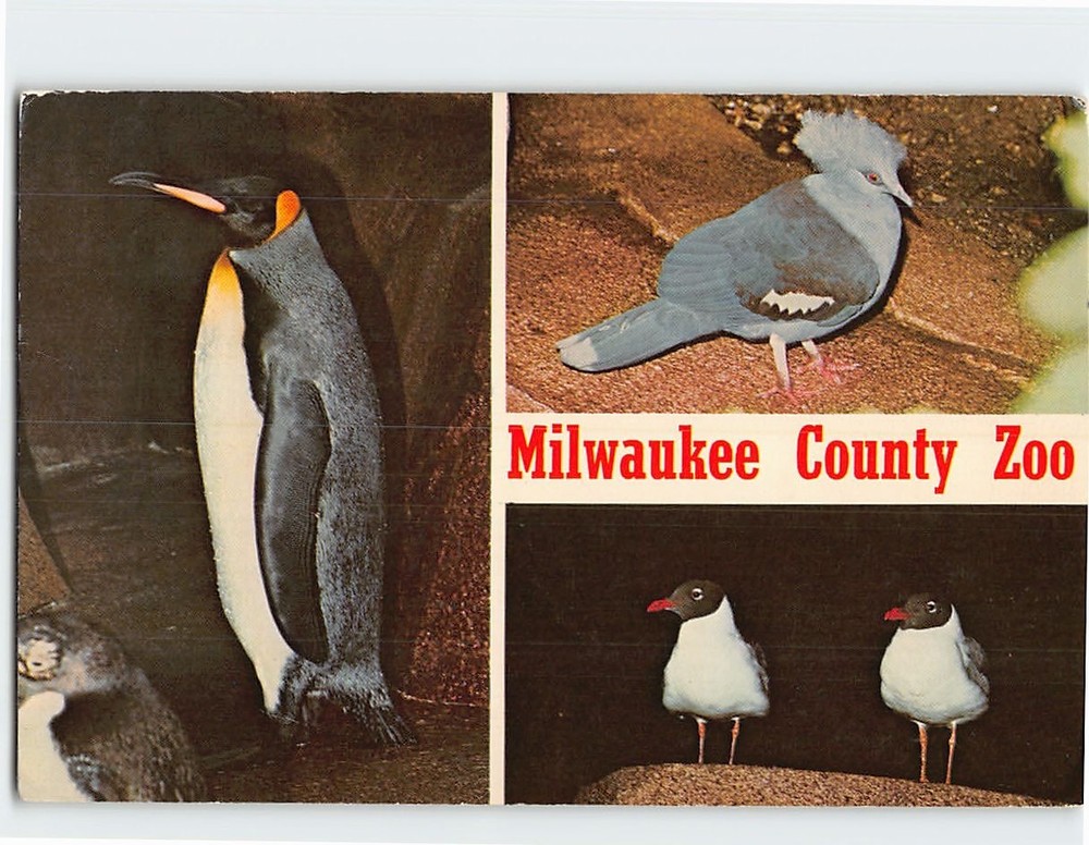 Postcard Aviary Milwaukee County Zoo Milwaukee Wisconsin USA