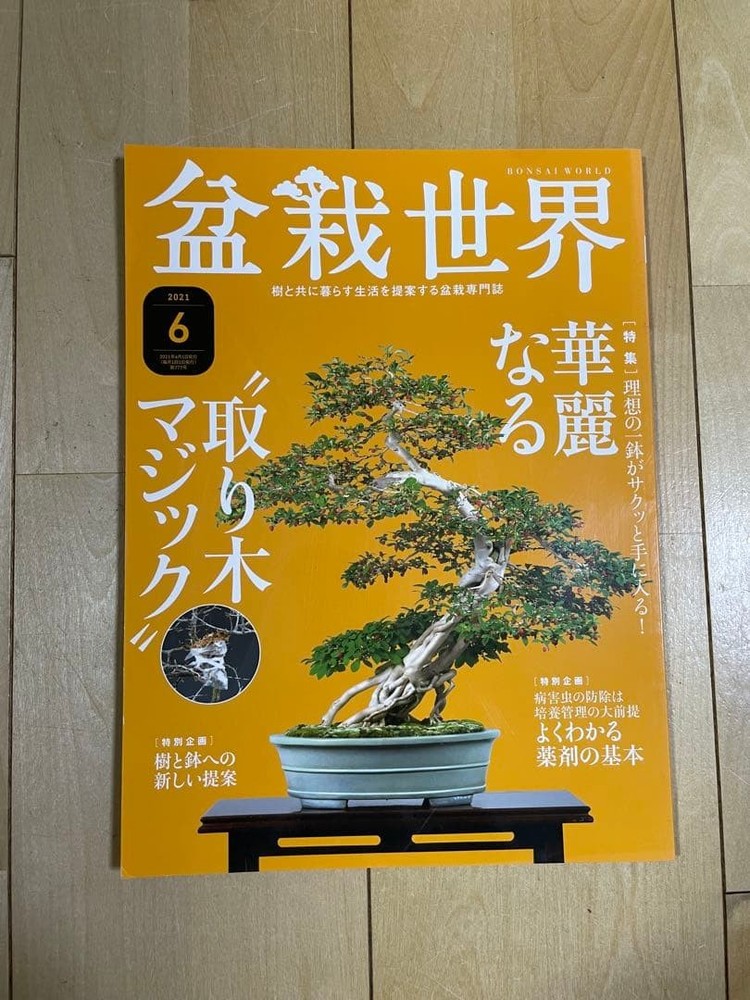 Bonsai World June 2021 Issue Rooting Techniques Medicine Basics Magazine