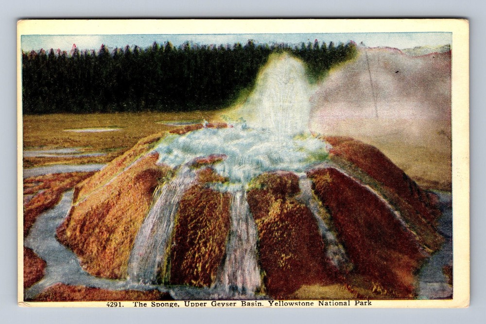 Yellowstone National Park The Sponge Upper Geyser Basin Vintage Postcard