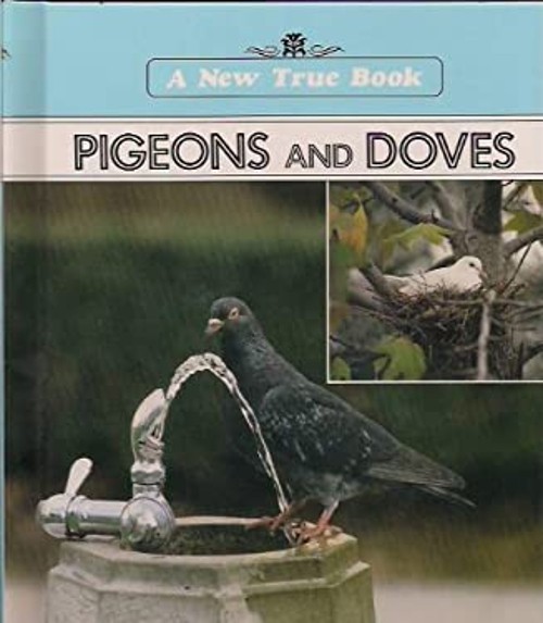 Pigeons and Doves Paperback Ray, Hargrove, Jim NofsingerFree US Delivery | ISBN:0516021966