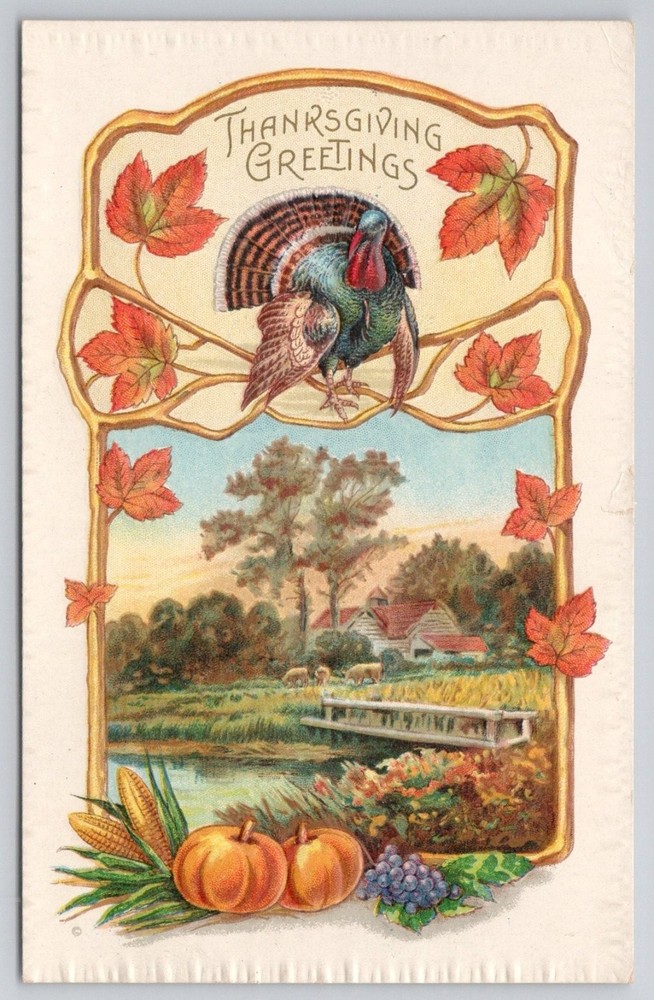 1912 Thanksgiving Greetings Postcard Embossed Turkey Farm Landscape Scranton PA
