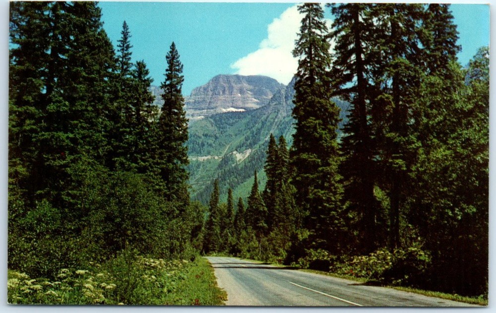 Postcard - McDonald Creek Valley - Glacier Park, Montana
