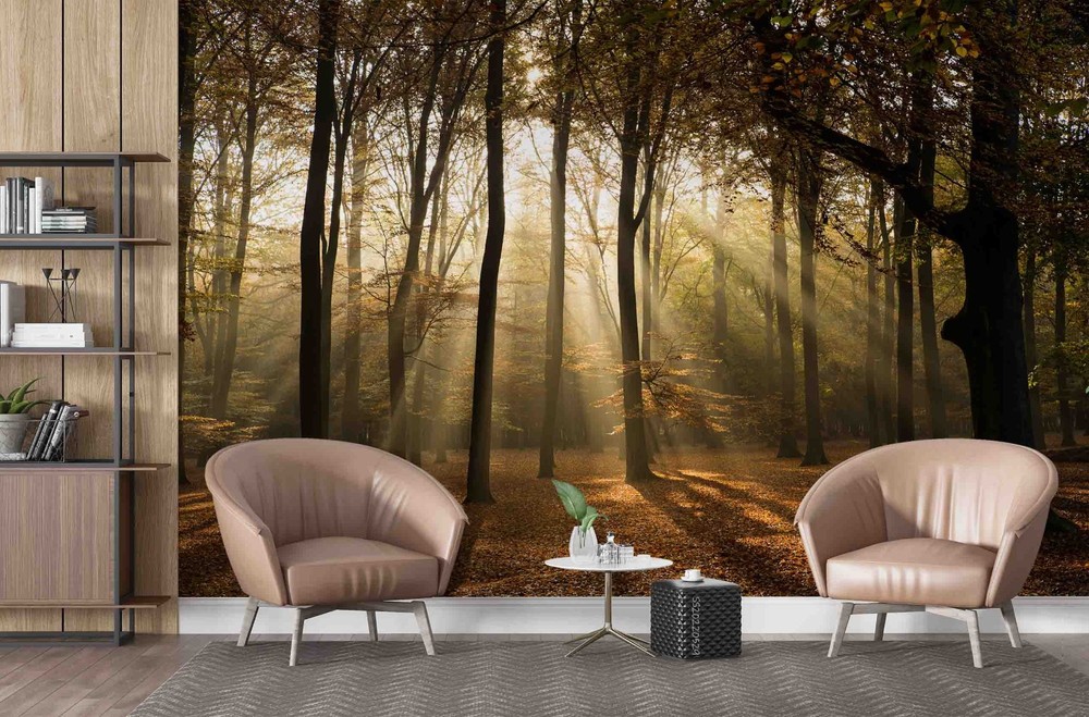 3D Forest Sunshine Autumn Landscape Wall Murals Wallpaper Murals Wall Sticker