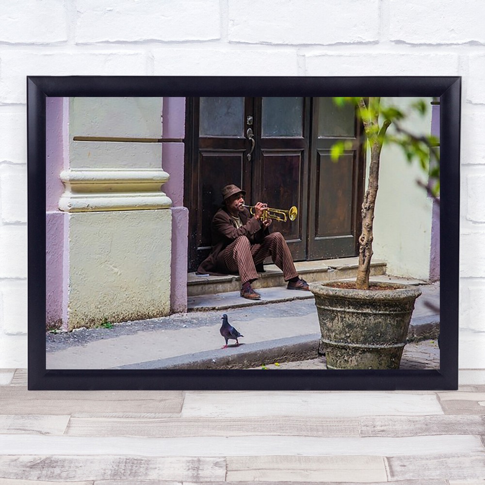 Playing For Pigeons Street Man Musician Trumpet Melody Bird Plant Door Art Print