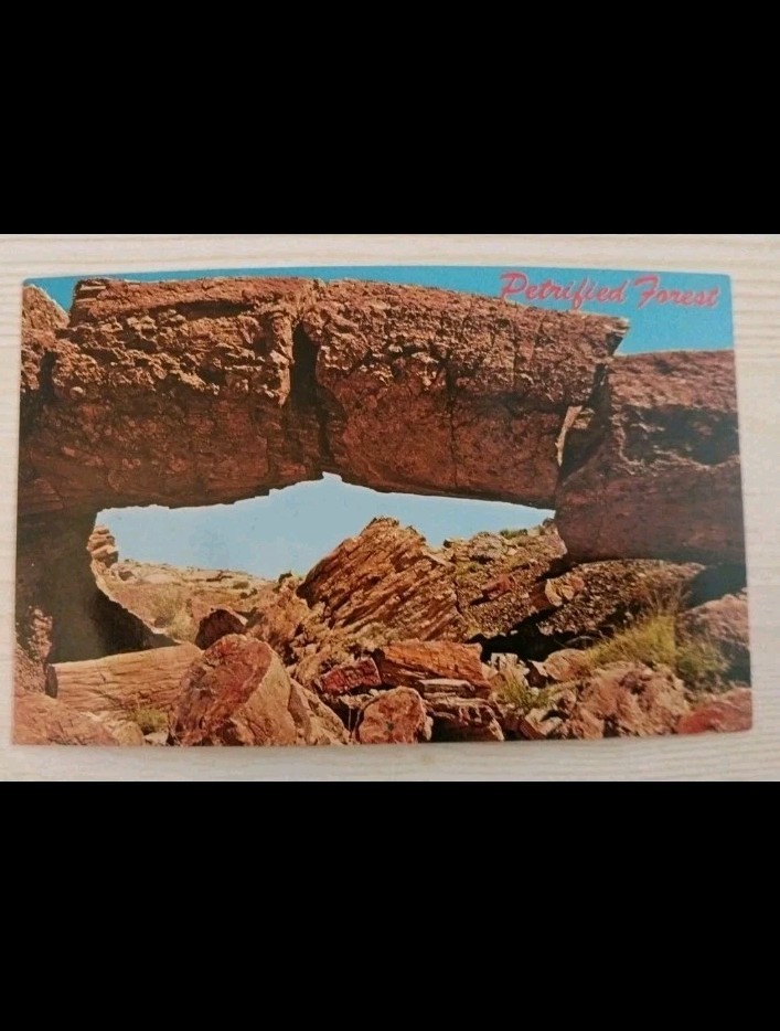Petrified Forest National Park~Arizona AZ~Rainbow Forest~Vintage Postcard~Petley