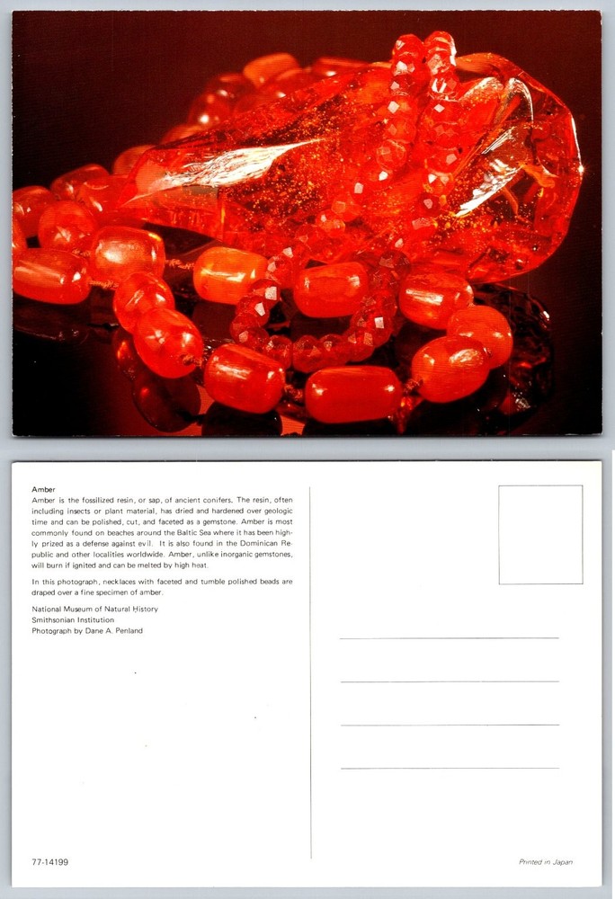 Amber Gemstone National Museum Natural History Smithsonian Postcard Japan