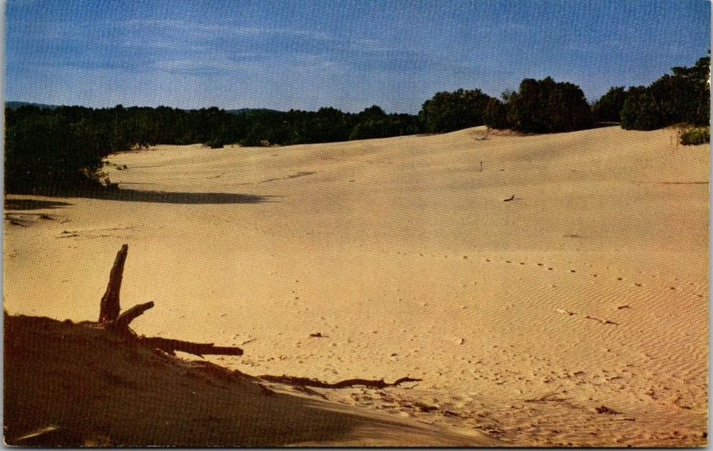Desert of Maine Freeport ME Postcard Vintage Chrome Sand Dunes Panorama