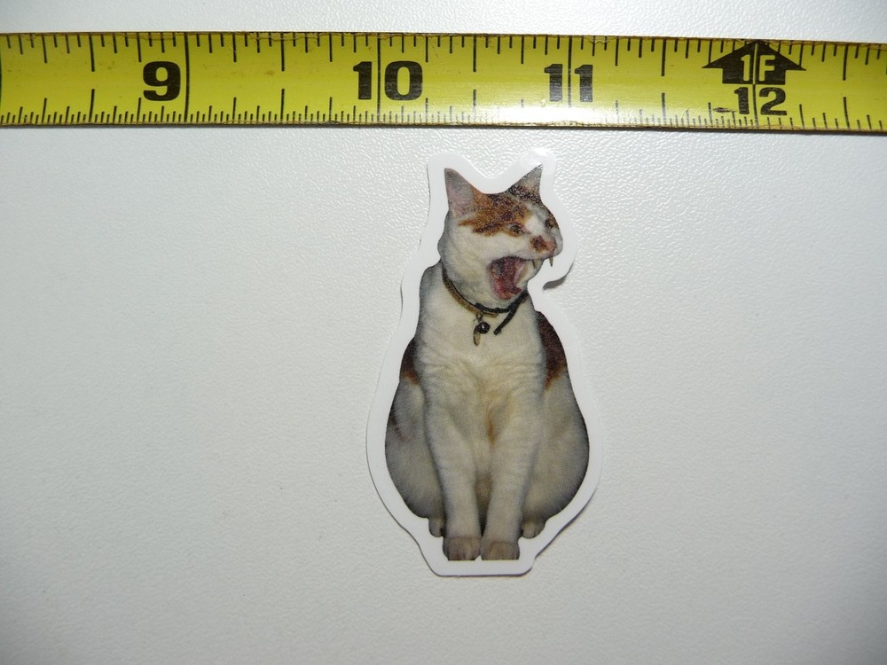 Sleepy Cat Decal Sticker for Pet Lovers Home Decor
